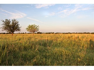 Tract 2 - LAND AUCTION - 440+/- Acres offered in 15 Tracts in Tulsa County
